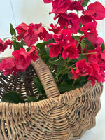 FRENCH GATHERING BASKET