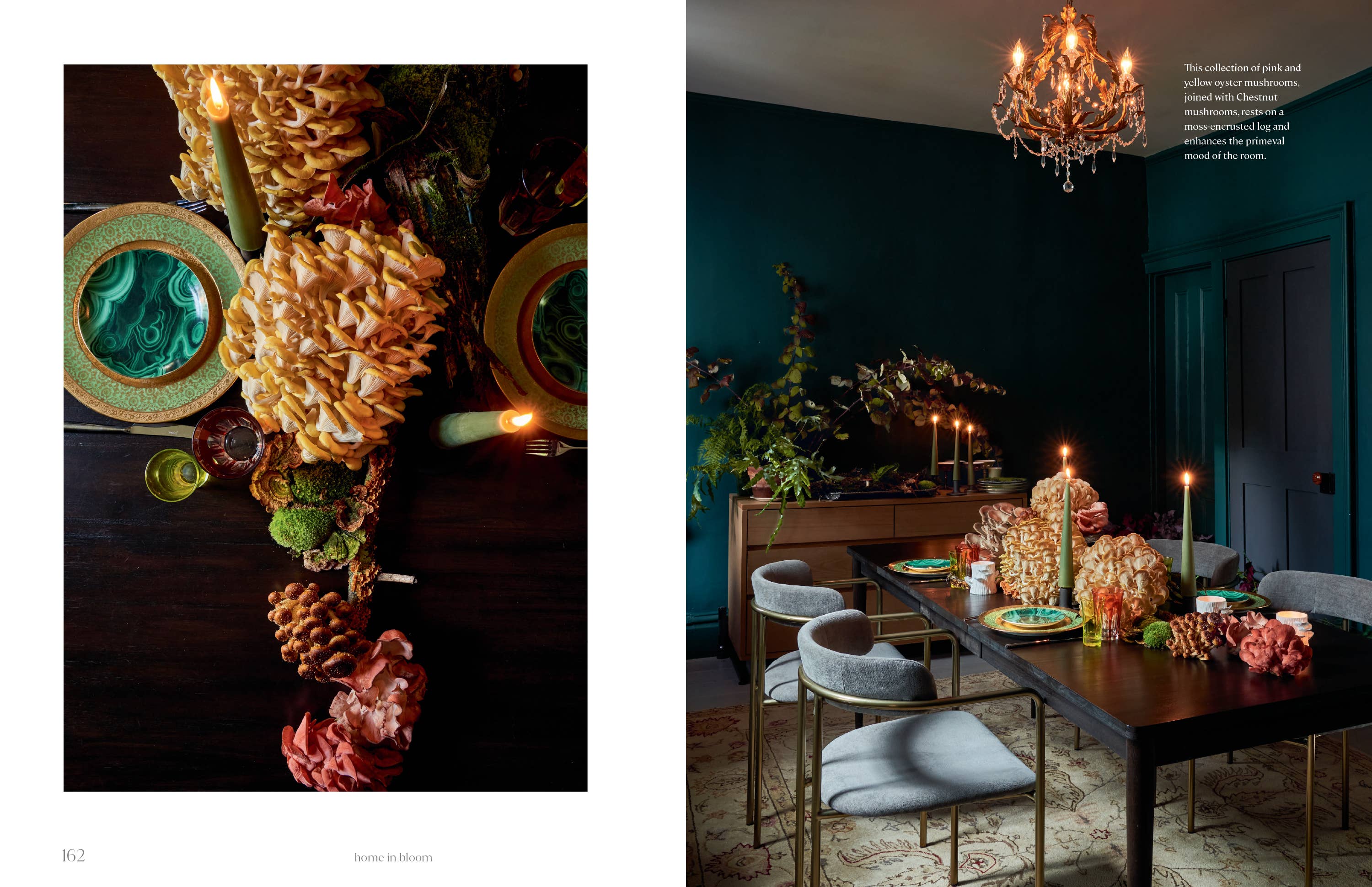 HOME IN BLOOM: LESSONS FOR CREATING FLORAL BEAUTY IN EVERY ROOM