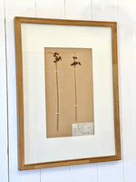 ANTIQUE FRAMED SWEDISH PRESSED HERBARIUM