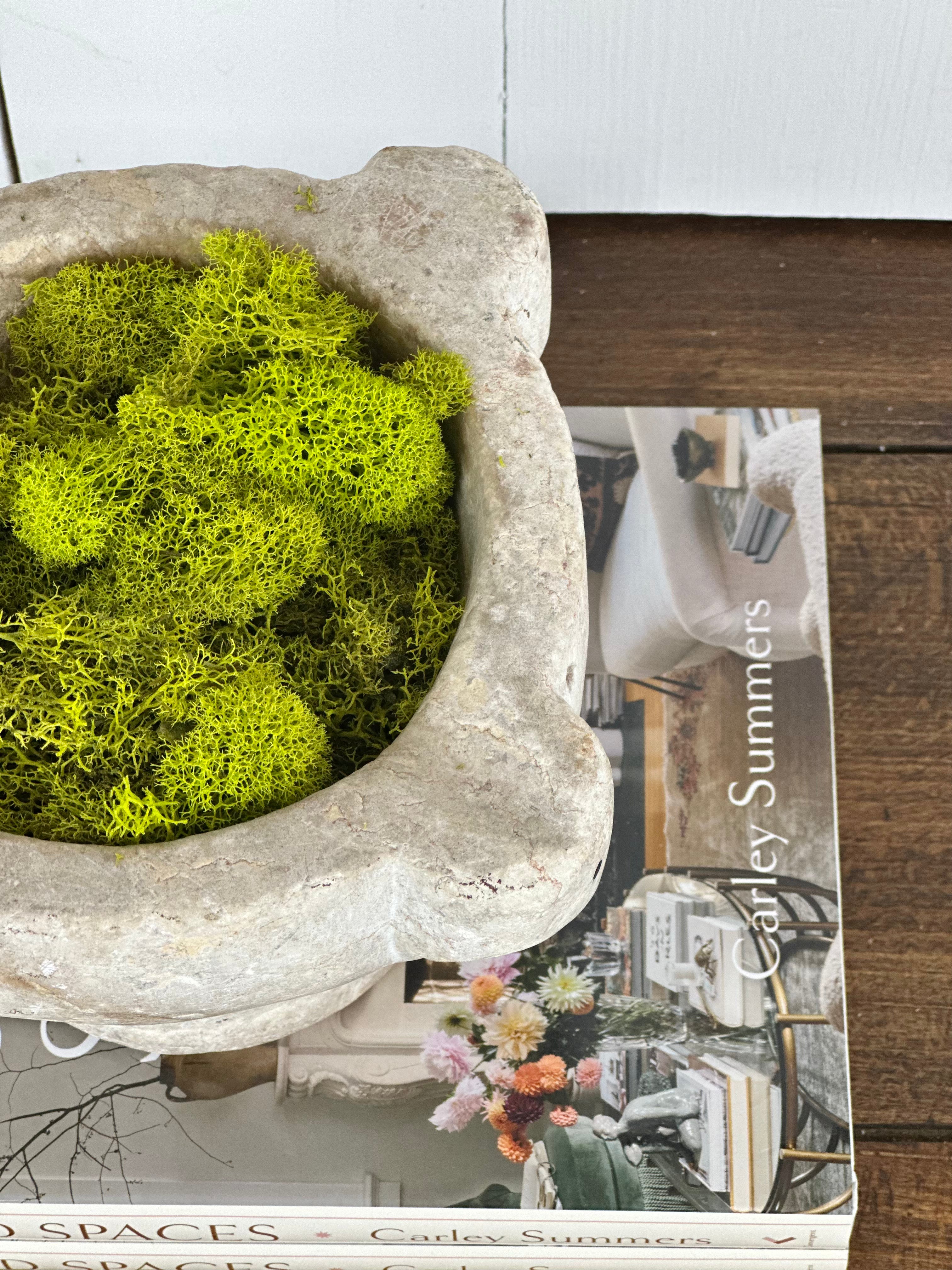 ANTIQUE FRENCH STONE MORTAR WITH MOSS TOP VIEW
