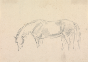 ANTIQUE SKETCH PRINTS