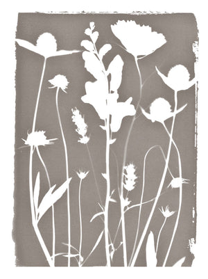 FLORAL CYANOTYPE PRINT  - ON STRETCHED CANVAS