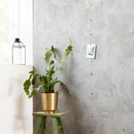 PHOTO DISPLAY WITH WOOD MAGNETS