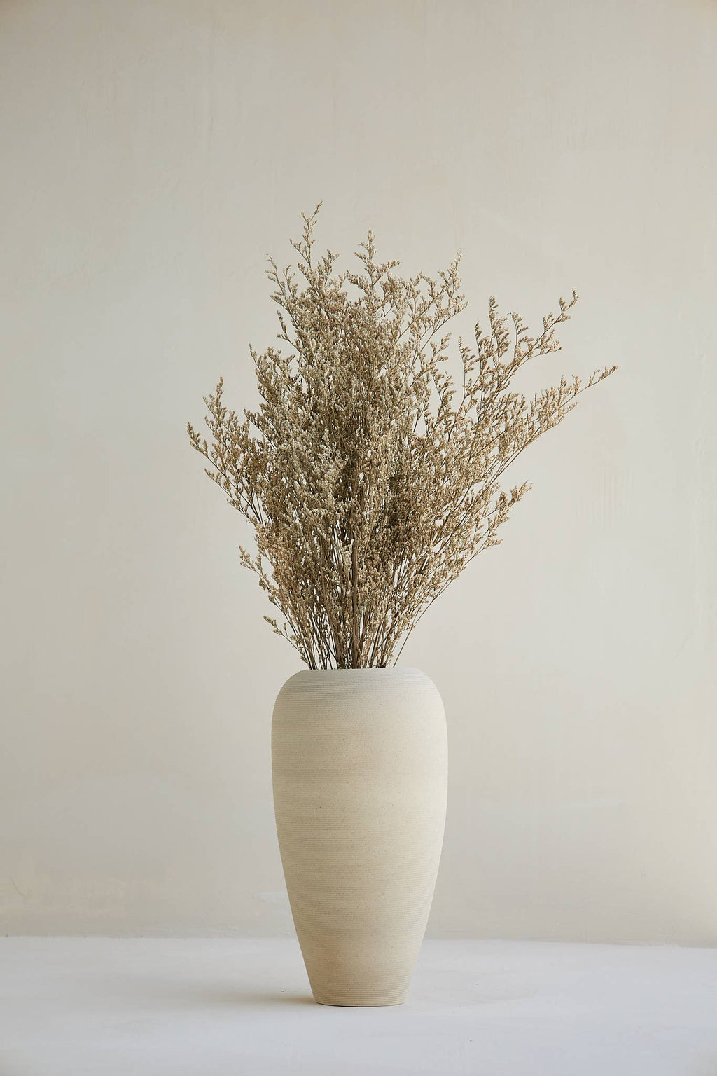 LIMONIUM BRANCHES