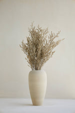 LIMONIUM BRANCHES