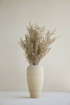 LIMONIUM BRANCHES