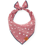 Lucky Stars Dog Bandana