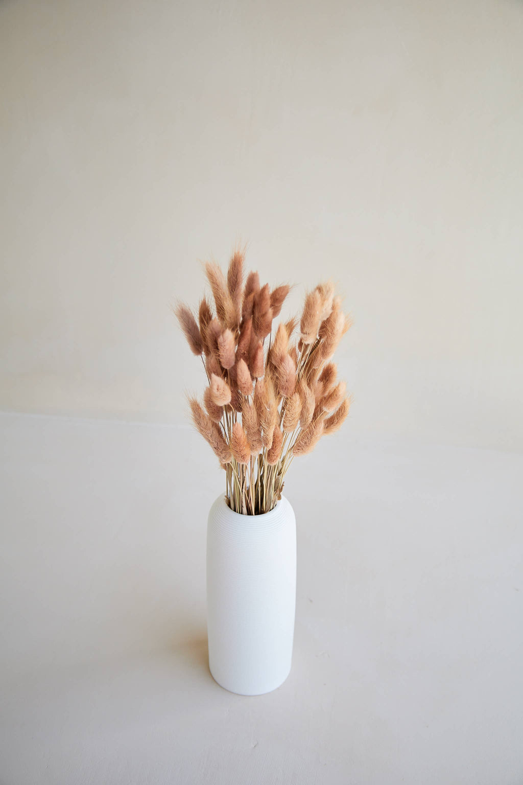 PRESERVED BUNNY TAILS
