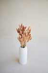 PRESERVED BUNNY TAILS