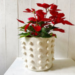 FELT POM POM POT COVER