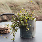 STONEWARE PLANTER - SMALL