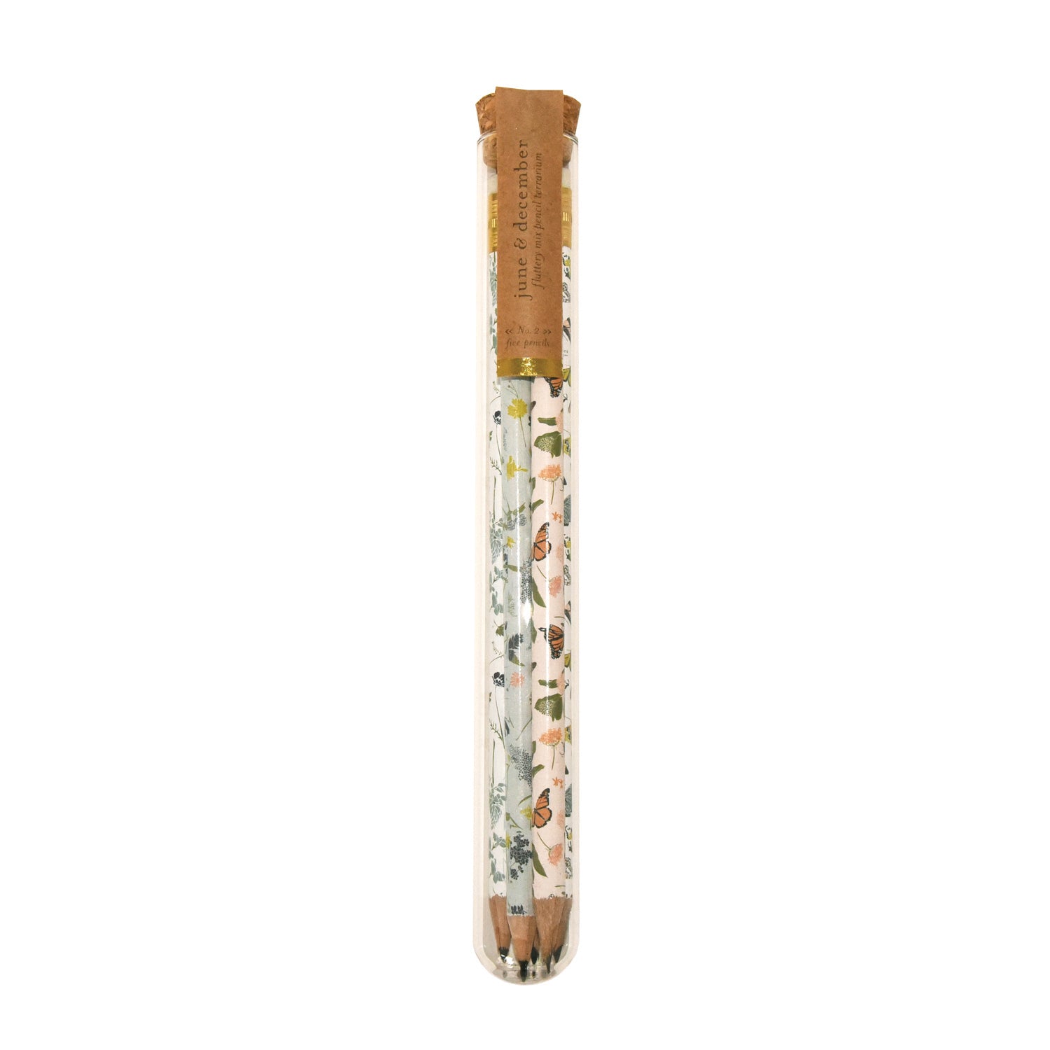 PENCIL TERRARIUM