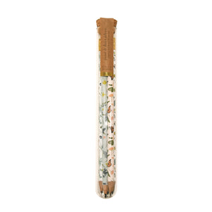 PENCIL TERRARIUM
