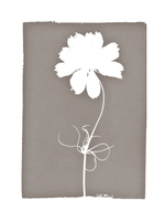 FLORAL CYANOTYPE PRINT  - ON STRETCHED CANVAS