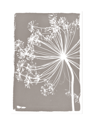 FLORAL CYANOTYPE PRINT  - ON STRETCHED CANVAS
