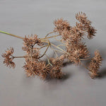 BOTANICAL STEM