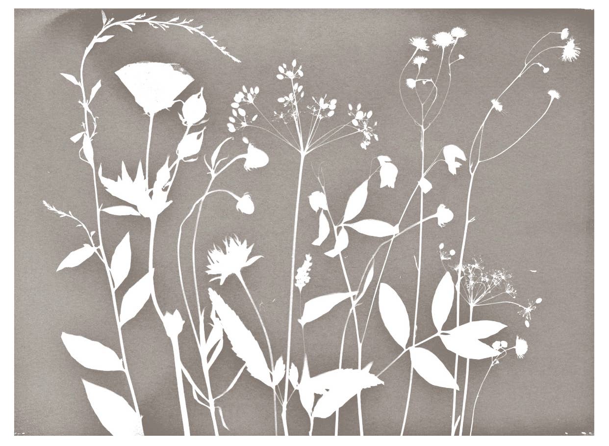FLORAL CYANOTYPE PRINT  - ON STRETCHED CANVAS