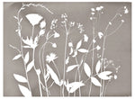 FLORAL CYANOTYPE PRINT  - ON STRETCHED CANVAS