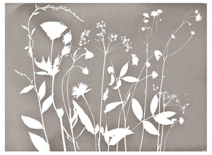 FLORAL CYANOTYPE PRINT  - ON STRETCHED CANVAS