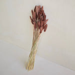 PRESERVED BUNNY TAILS
