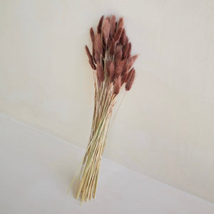 PRESERVED BUNNY TAILS