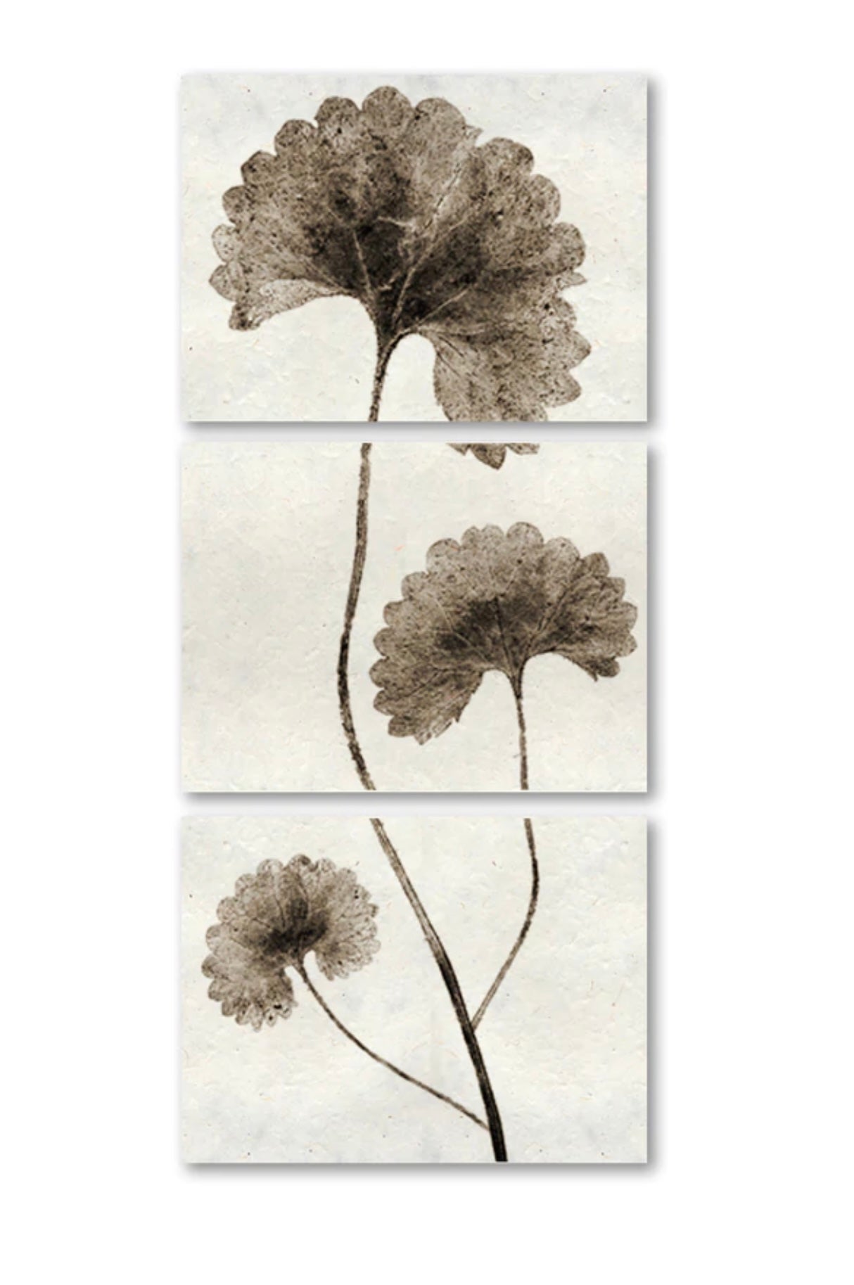 FRAMED LEAF TRILOGY