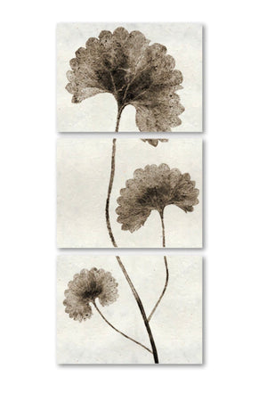 FRAMED LEAF TRILOGY