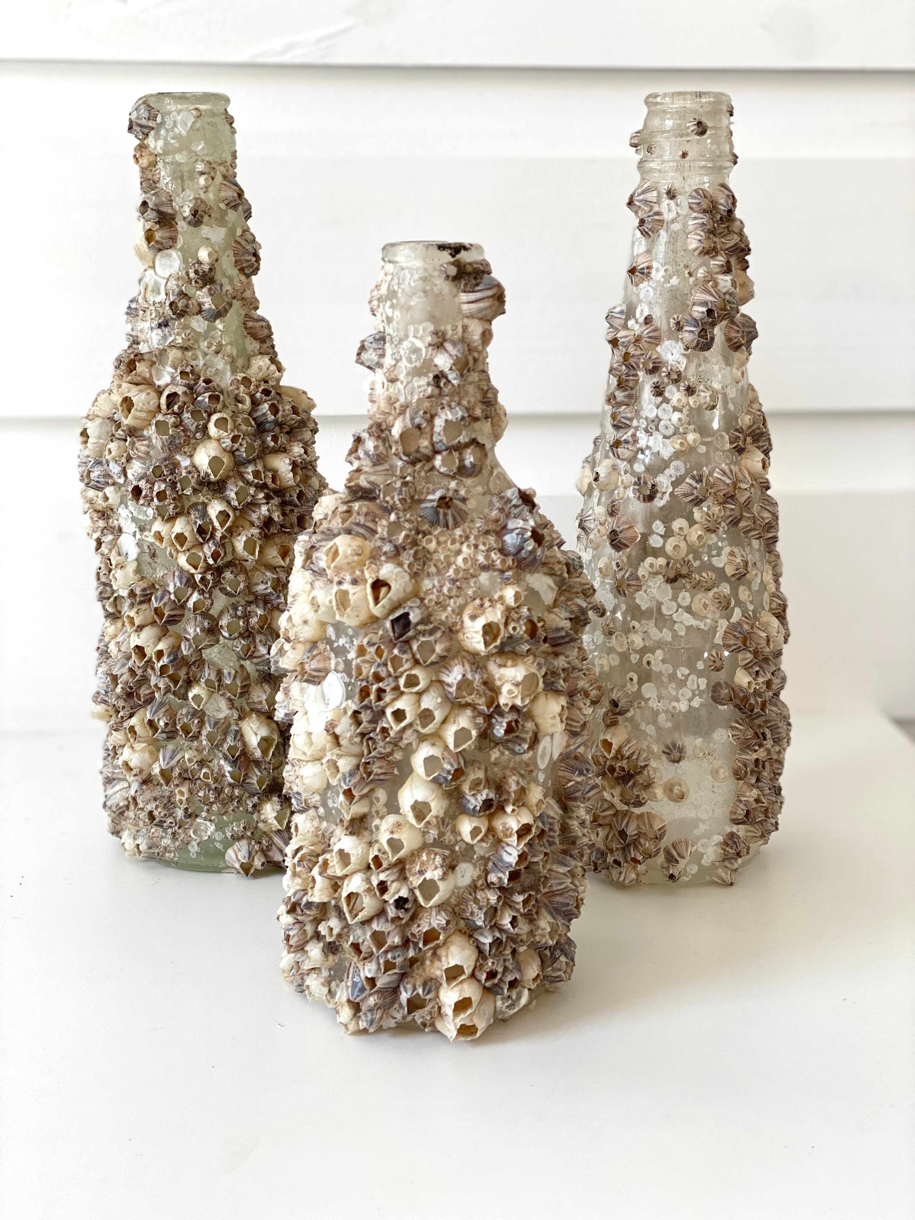 BARNACLE BOTTLE