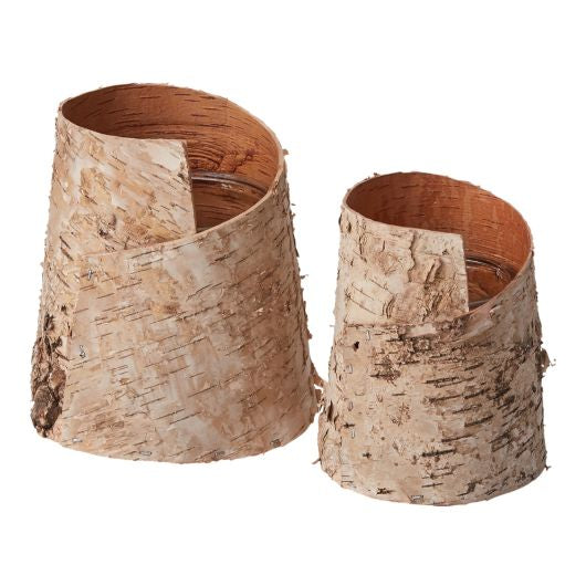 BIRCH VASE