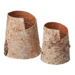 BIRCH VASE