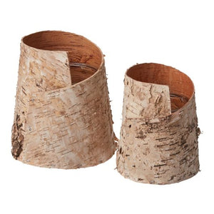 BIRCH VASE