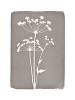 FLORAL CYANOTYPE PRINT  - ON STRETCHED CANVAS