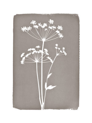 FLORAL CYANOTYPE PRINT  - ON STRETCHED CANVAS