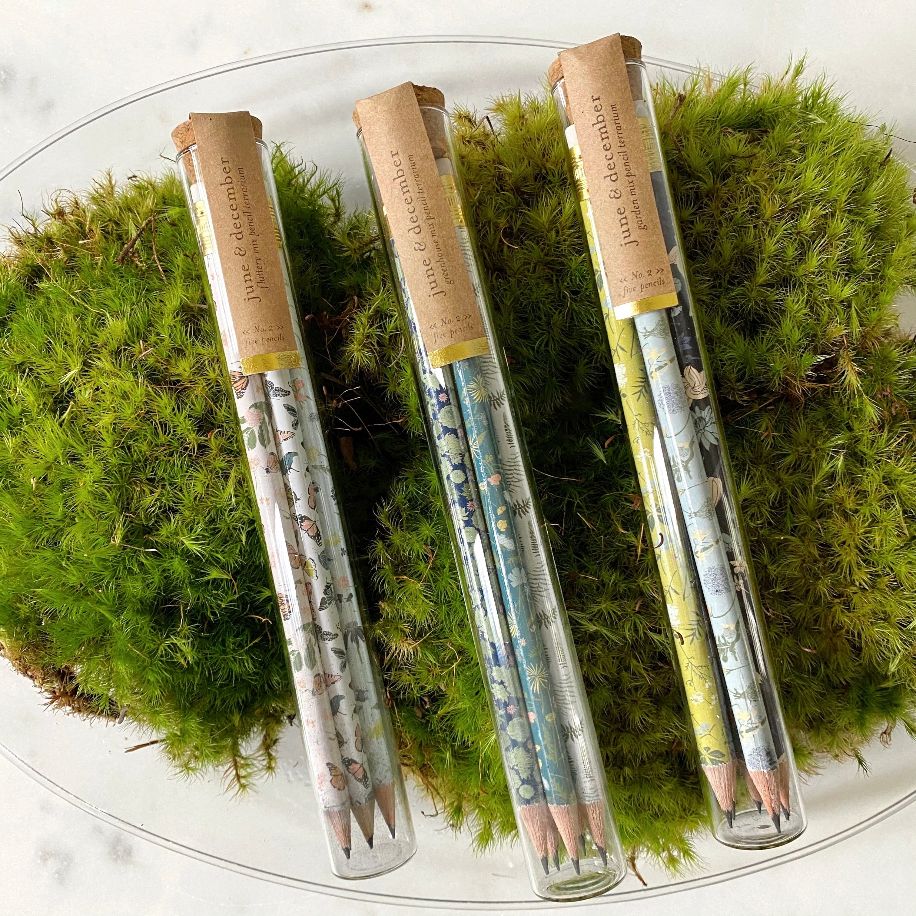 PENCIL TERRARIUM