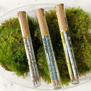 PENCIL TERRARIUM