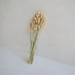 PRESERVED BUNNY TAILS