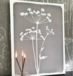 FLORAL CYANOTYPE PRINT  - ON STRETCHED CANVAS
